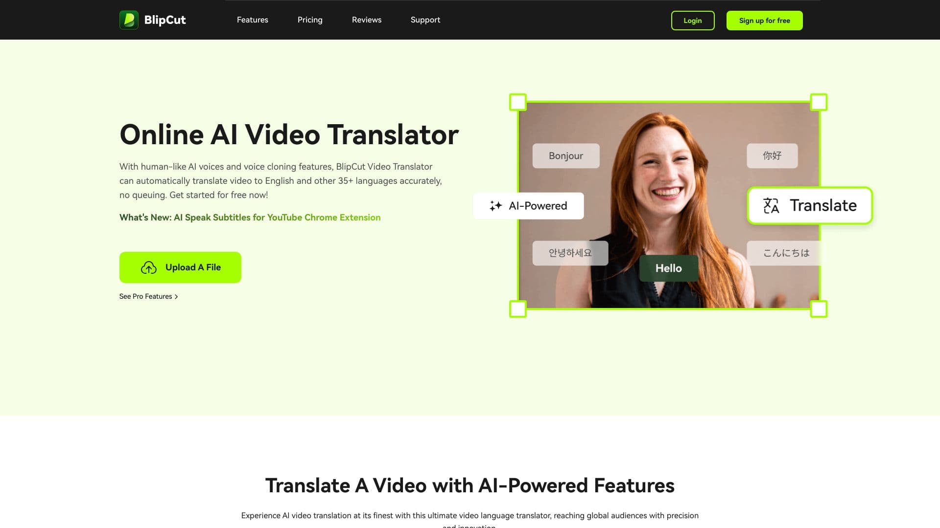BlipCut AI Video Translator screenshot