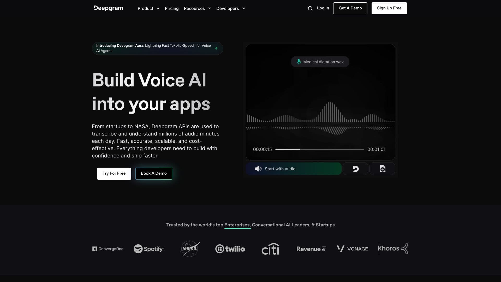 Deepgram Voice AI screenshot
