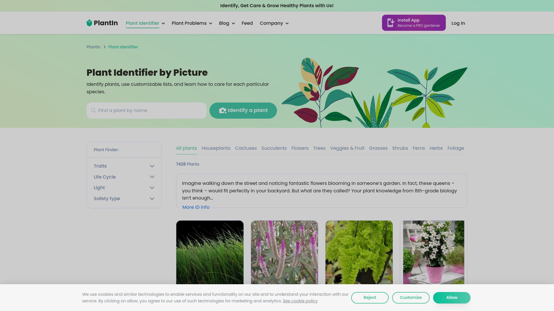 PlantIn plant care identifier screenshot