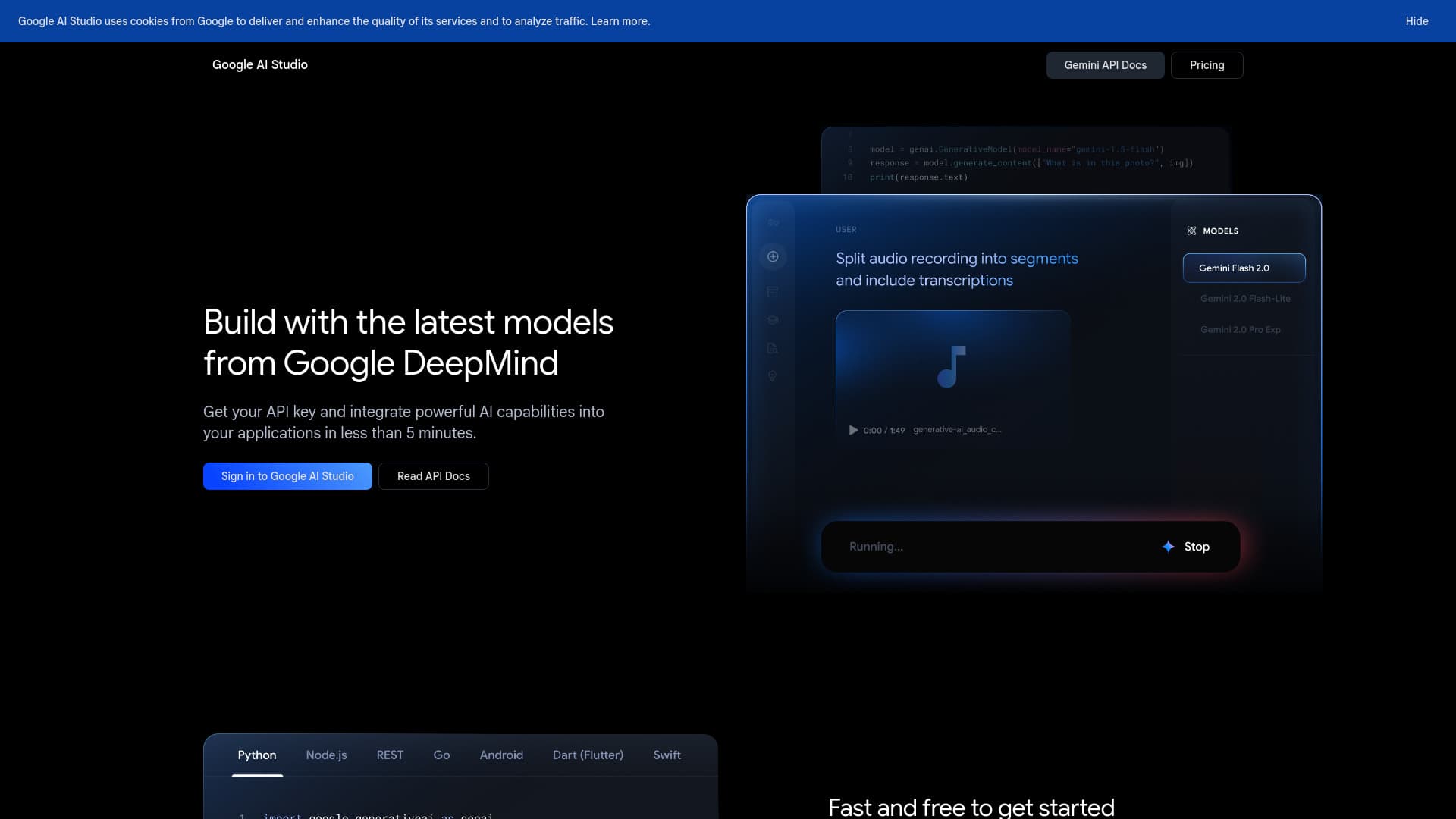 Google AI Studio screenshot